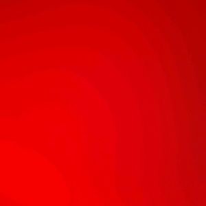 Meet your Posher, Rubi